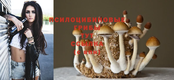 хмурый Арсеньев
