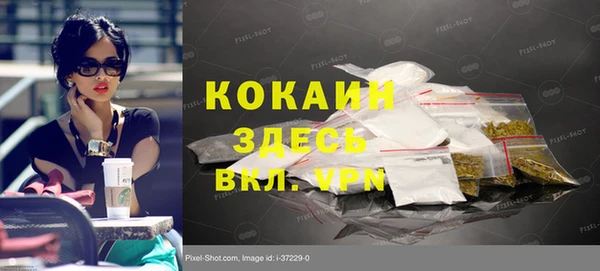 хмурый Арсеньев