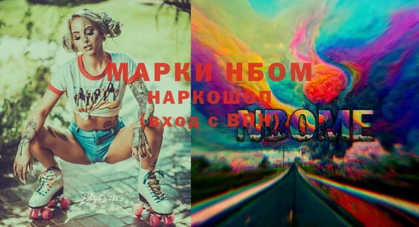 хмурый Арсеньев