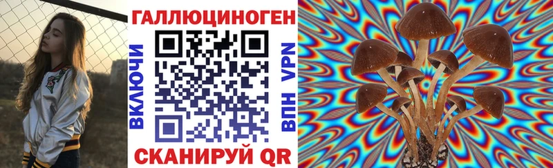 Купить  Дагестанские Огни  Галлюциногенные грибы Psilocybine cubensis 